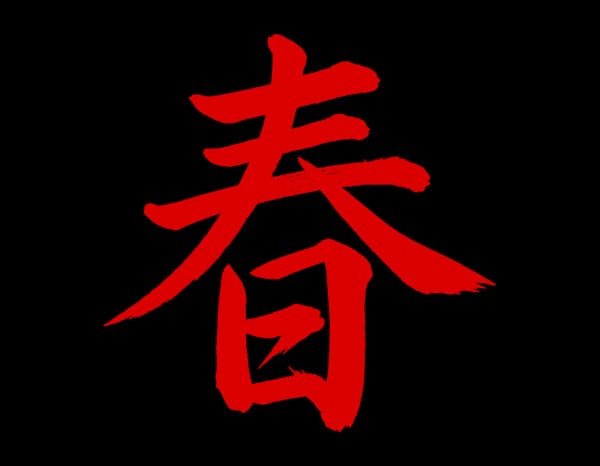 Wing Chun Kung Fu Wing Chun Kung Fu